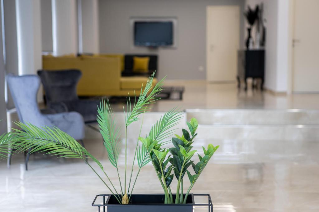 Posezení v ubytování Hotel Philippos