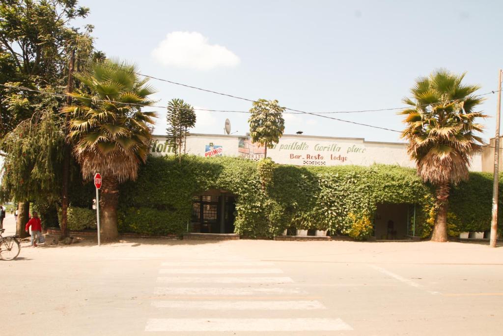 un bâtiment avec une haie verte et des palmiers dans l'établissement La paillotte gorilla place kinigi, à Kinigi
