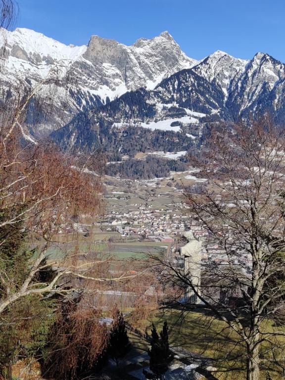 een uitzicht op een vallei met besneeuwde bergen bij Grosse 4 Zimmer Wohnung mit traumhafter Aussicht in Bad Ragaz