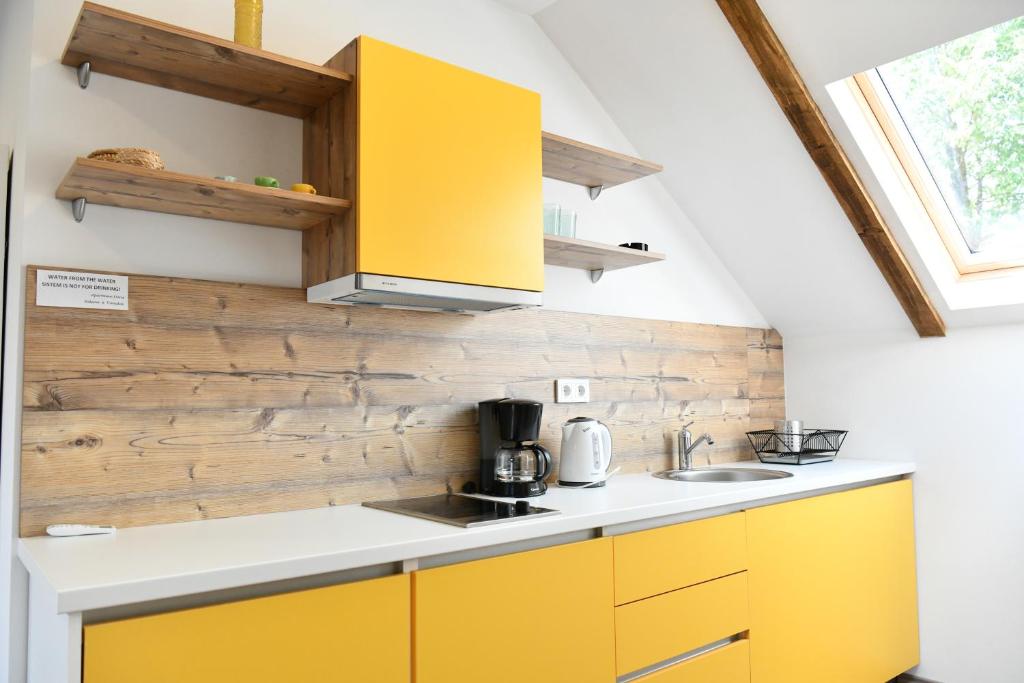 Kuchyňa alebo kuchynka v ubytovaní Apartman Doris