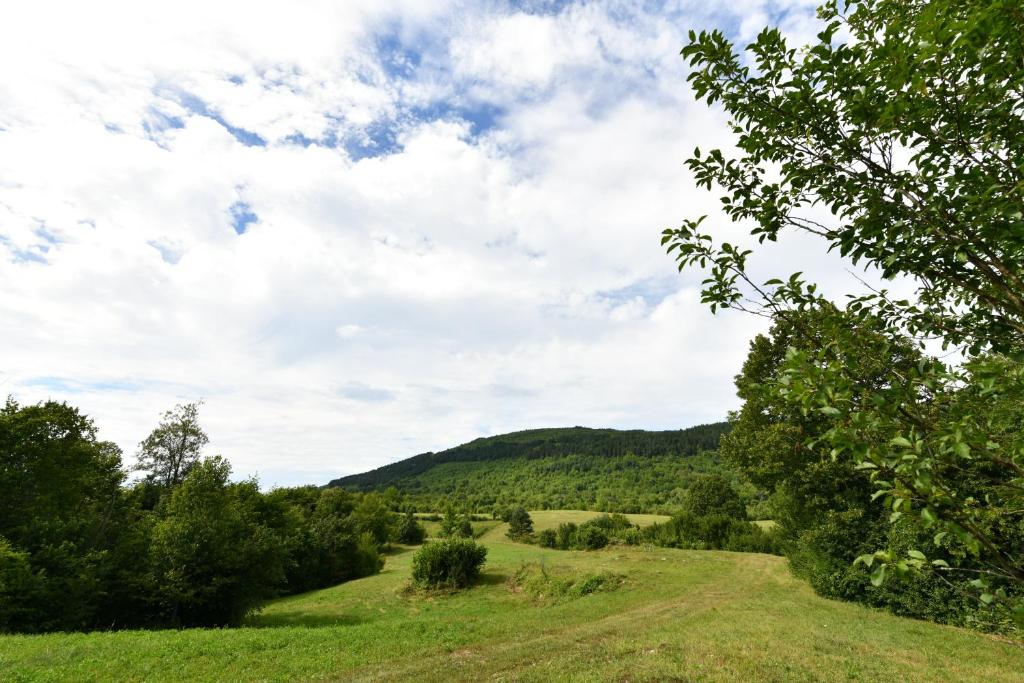 Príroda v okolí apartmánu