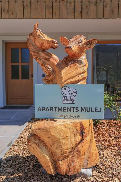 Fotografie z fotogalerie ubytování Apartments Mulej v Bledu