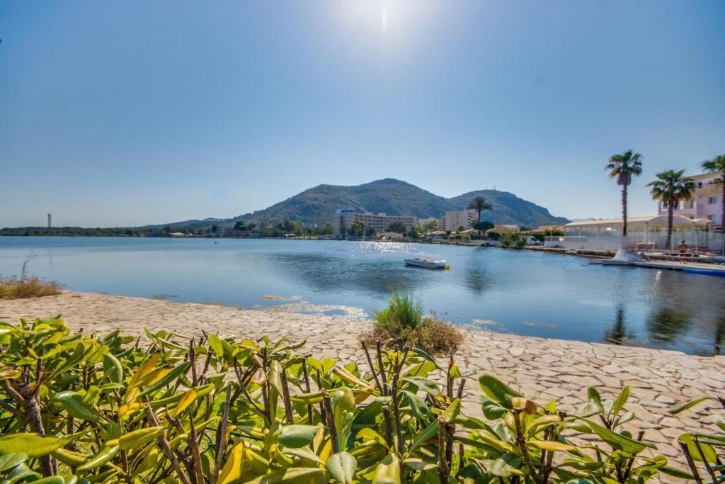 Táj Show holiday homes közelében