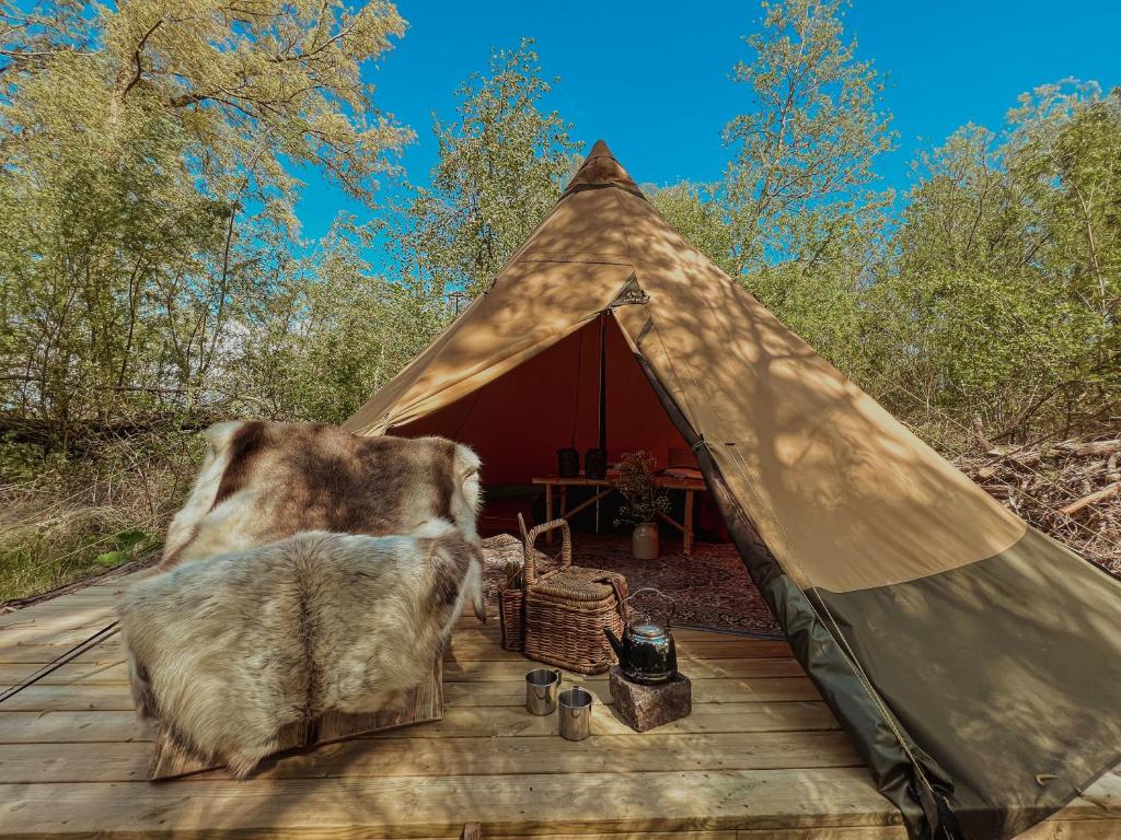 Afbeelding uit fotogalerij van Naturlig på Korsgården Glamping in Nysted