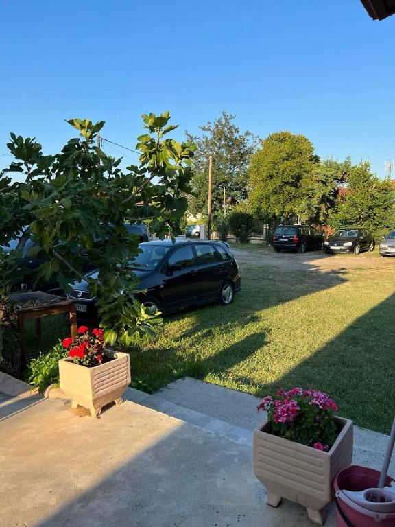 Ogród w obiekcie villa panorama