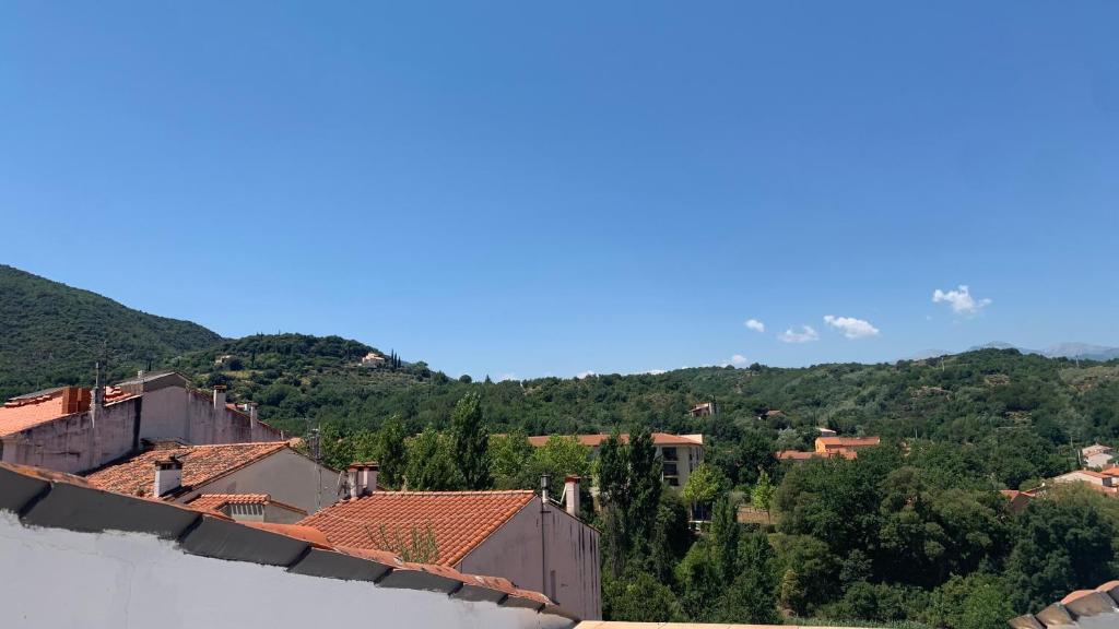 a view of a town with mountains in the background at Le Cérétan Hôtel in Céret