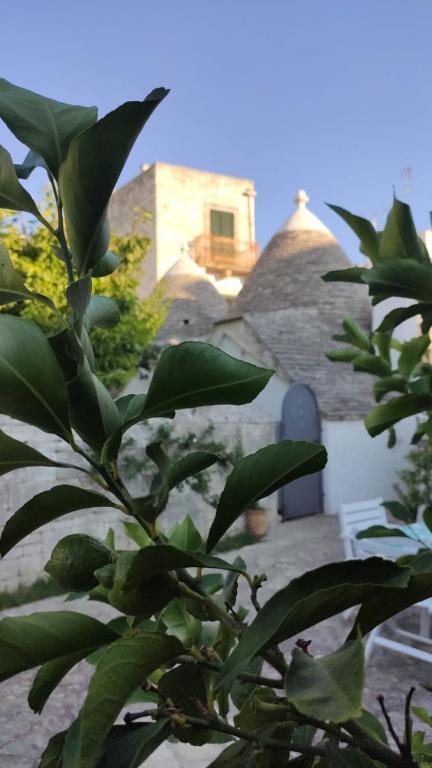 Trullo al vicoletto al civico 10, civico 8, civico 7 - 15