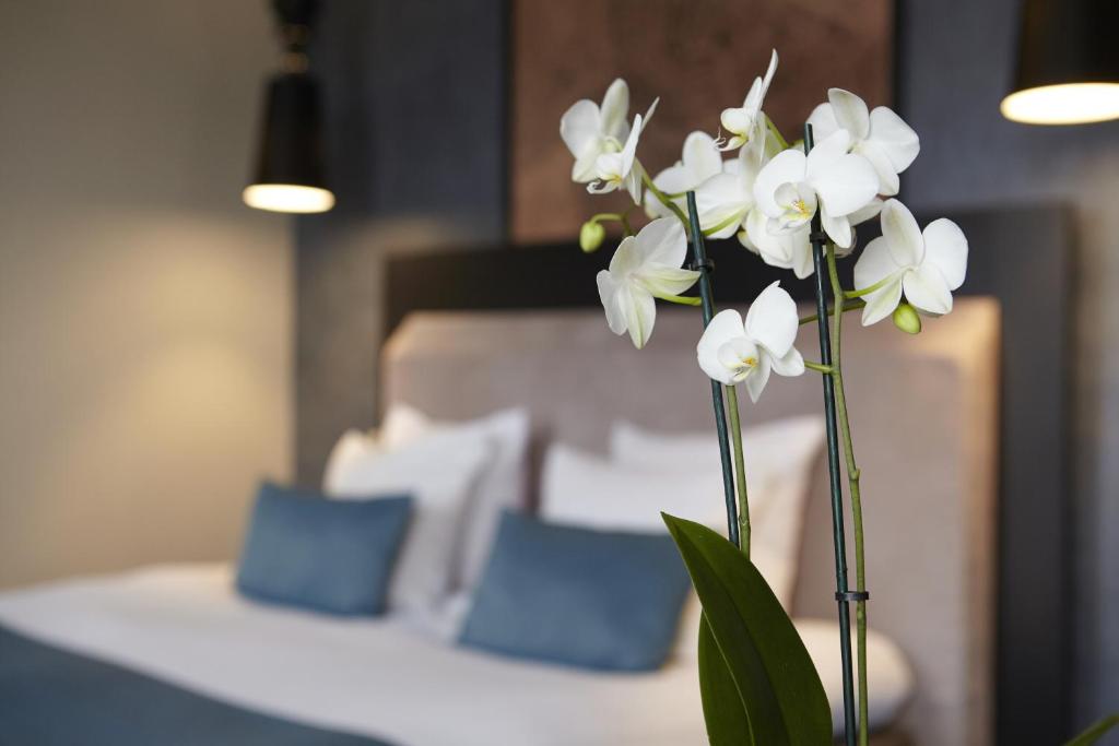 No. 377 House - Resim 17