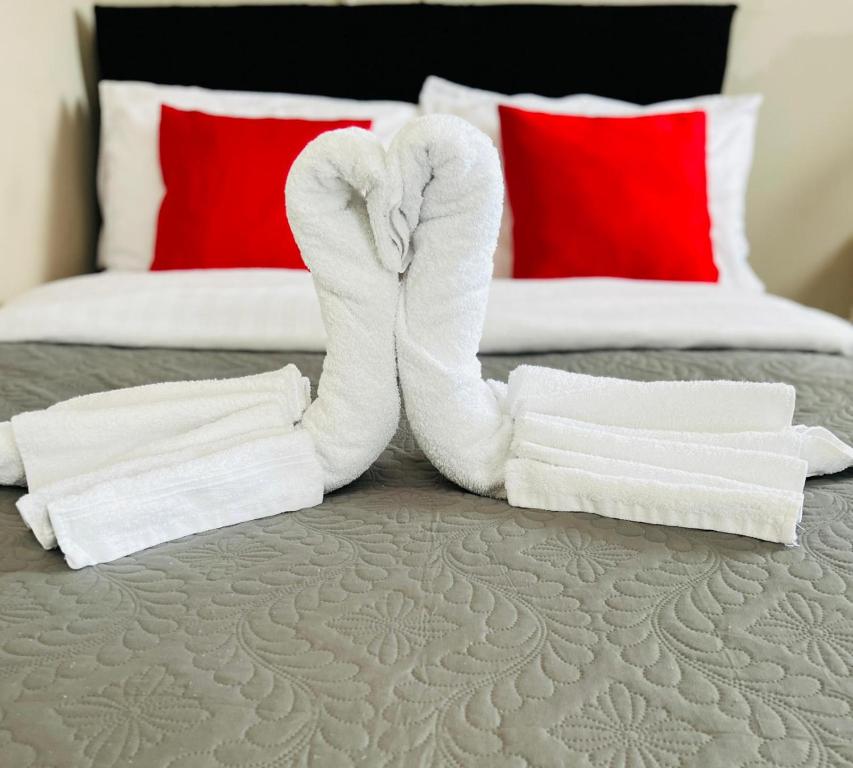 Indigo Suites