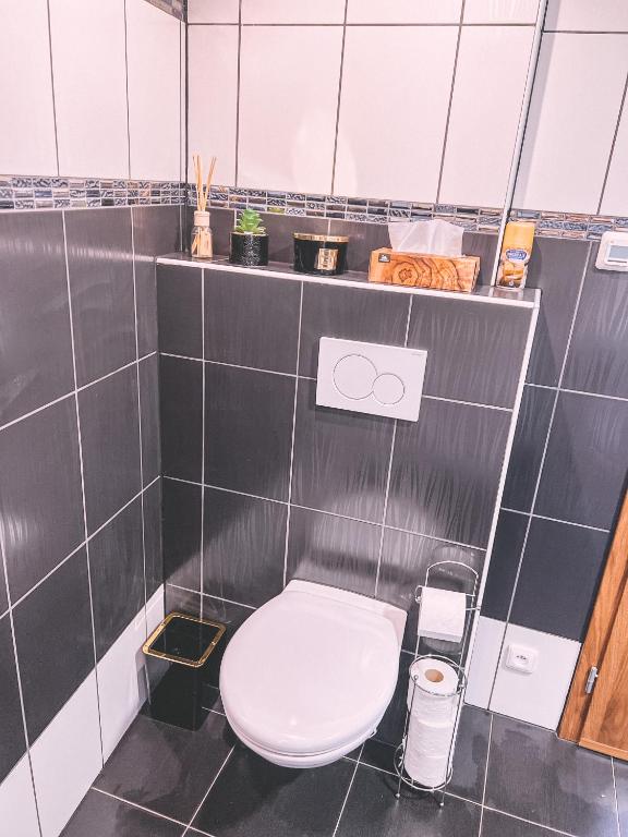 a bathroom with a toilet in a black tiled room at Unicorn Hřensko in Hřensko