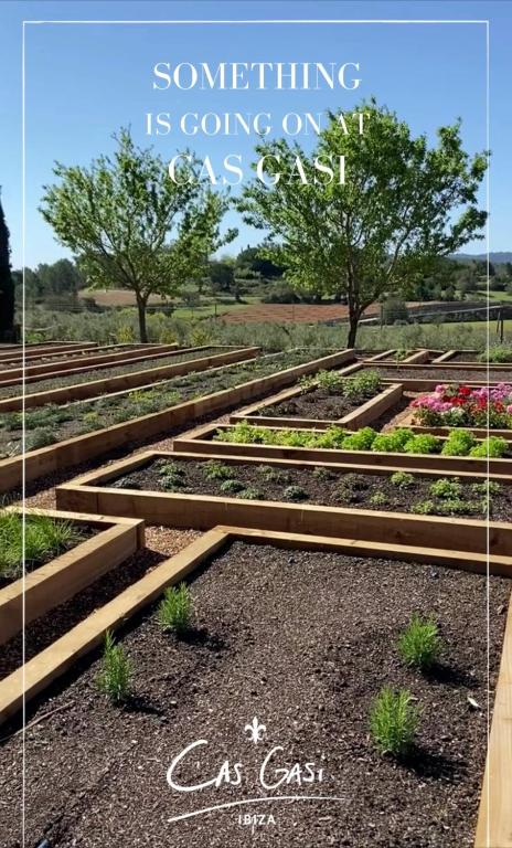 Cas Gasi, Santa Gertrudis de Fruitera – Updated 2023 Prices
