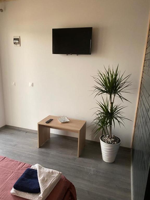 TV a/nebo společenská místnost v ubytování CASA DAVID