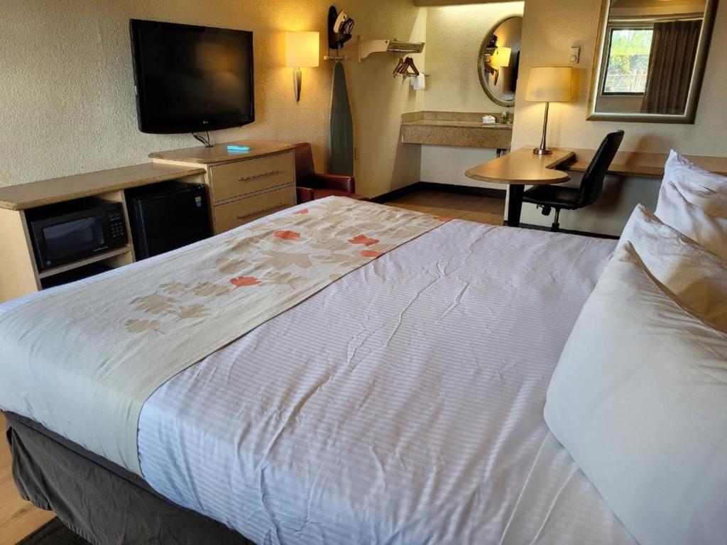 サウスフィールドにあるRed Oak Inn Southfieldの大型ベッドとテレビが備わるホテルルームです。