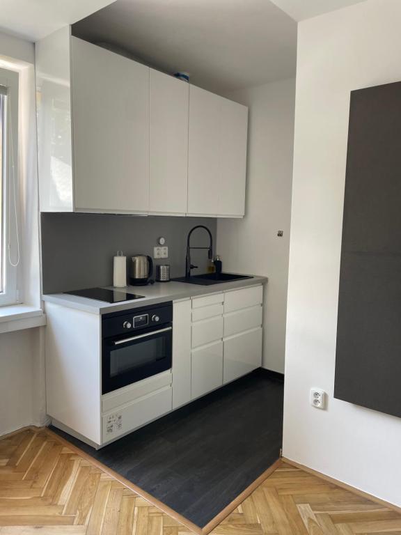 Kuchyň nebo kuchyňský kout v ubytování Apartmán V Krátké