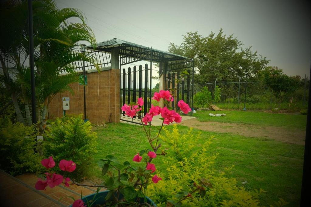 un jardín con flores rosas frente a una puerta en Rivera Maya, en Rivera