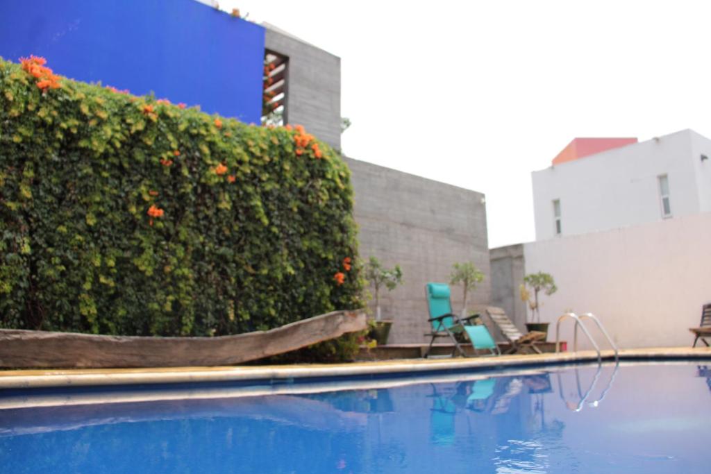 a swimming pool with a hedge with chairs and flowers at CASA GUME - Departamentos con 2 habitaciones para 4 personas in Oaxaca City