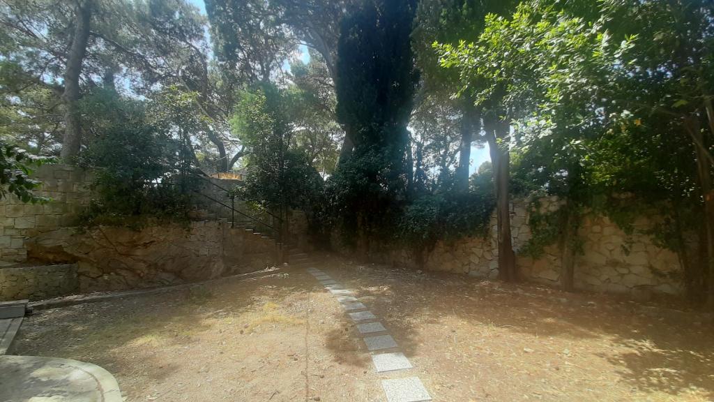 Príroda v okolí apartmánu