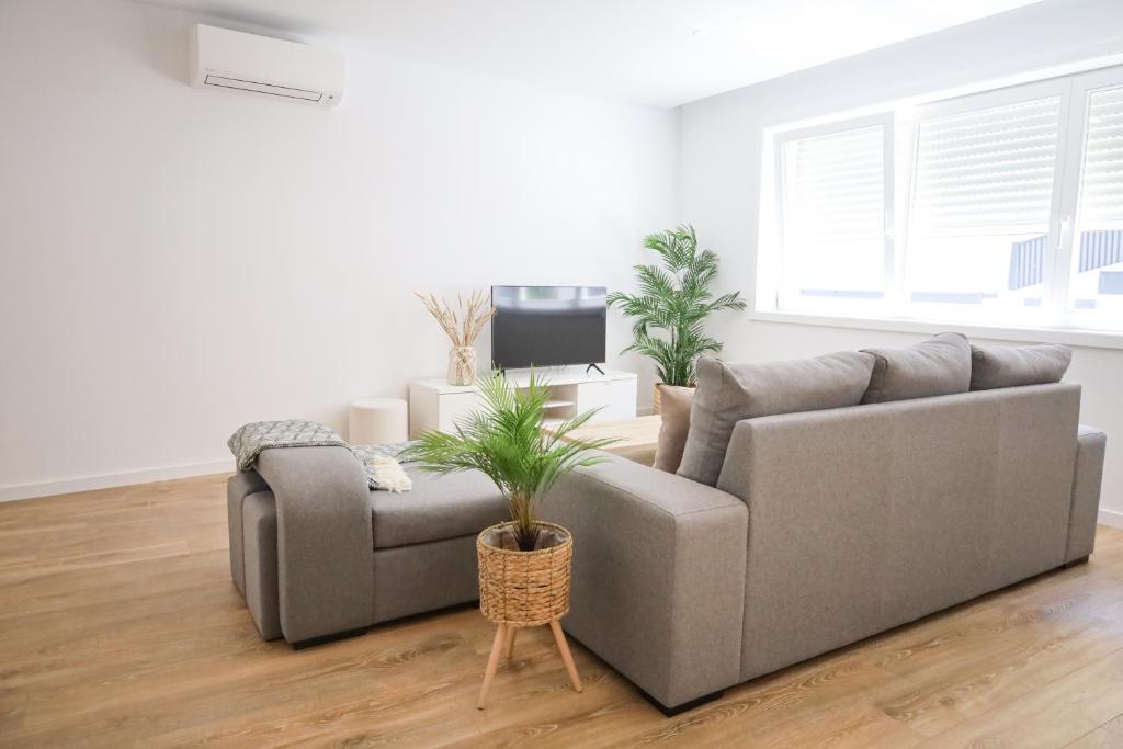 sala de estar con 2 sofás y TV en Pinheiro Guest House, en Ponte de Lima