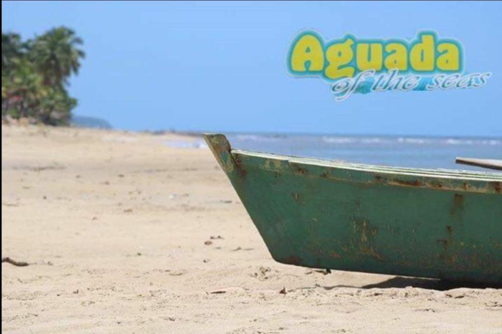 Příroda nedaleko aparthotelu
