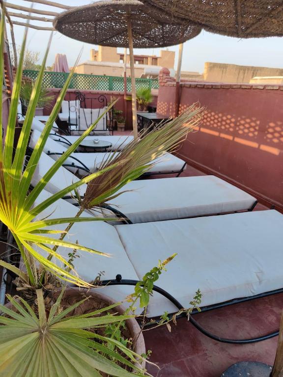 a row of beds on a patio with an umbrella at Riad Assalam in Marrakech