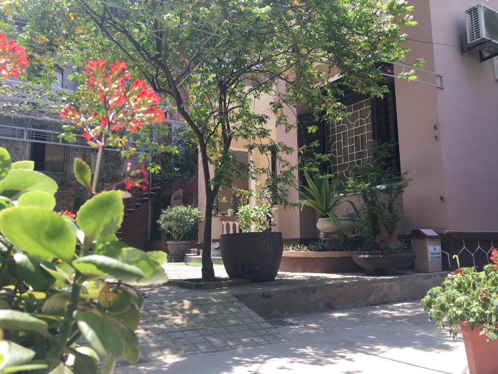 a courtyard with potted plants and a building at Homestay MINH TÚ in Hue