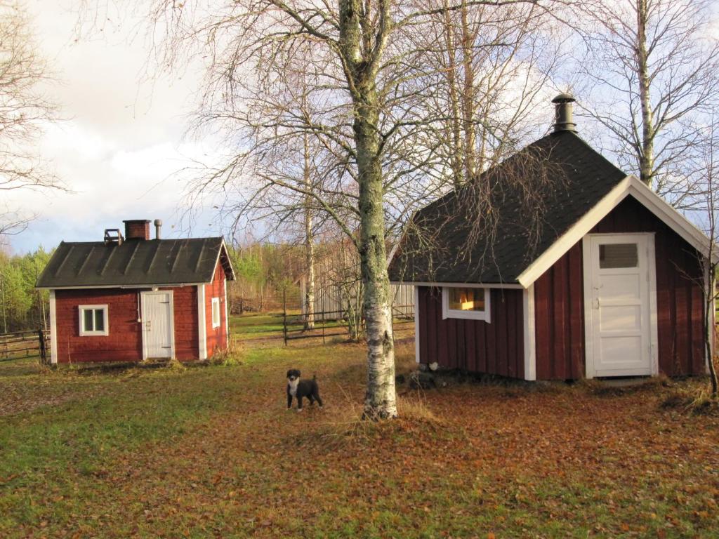 a dog is standing in front of a small house at Farmhouse Tervamäki in Tervajärvi