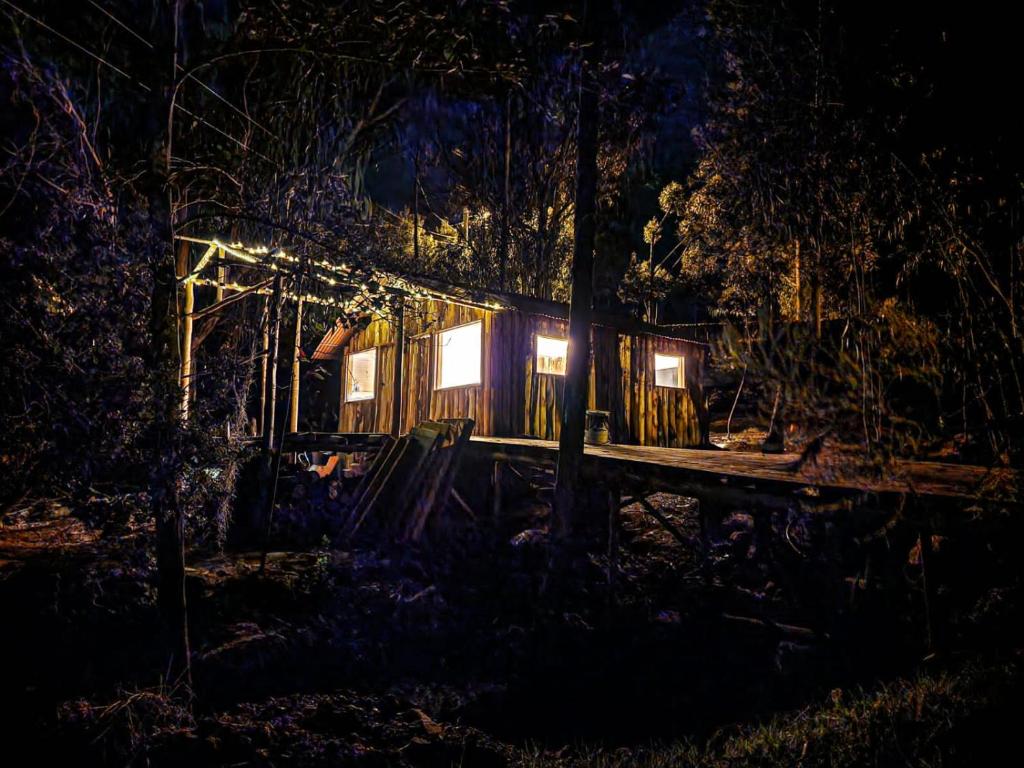a tree house in the woods at night at La chala Guatavita in Guatavita