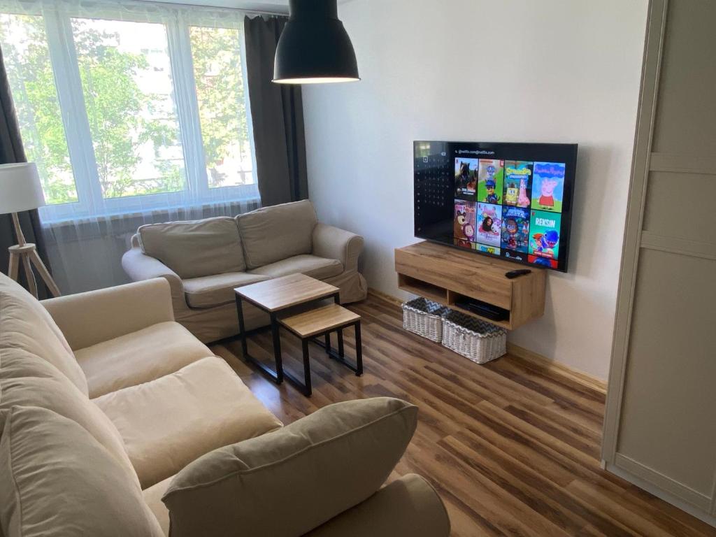sala de estar con sofá y TV de pantalla plana en Apartament Jana en Tarnowskie Góry