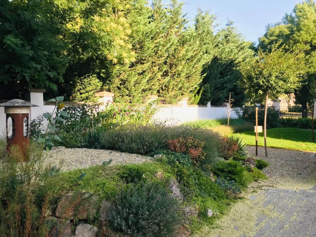 Ogród w obiekcie Elizabeth Garden Premium Apartment