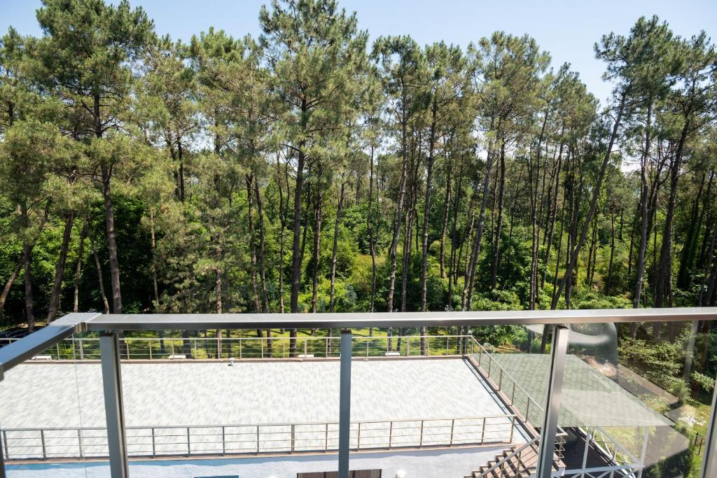 Fotografie z fotogalerie ubytování Buxus Hotel Shekvetili v destinaci Šekvetili