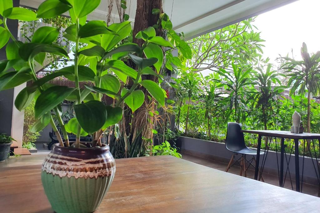 Zahrada ubytování Siem Reap Tevi Residence