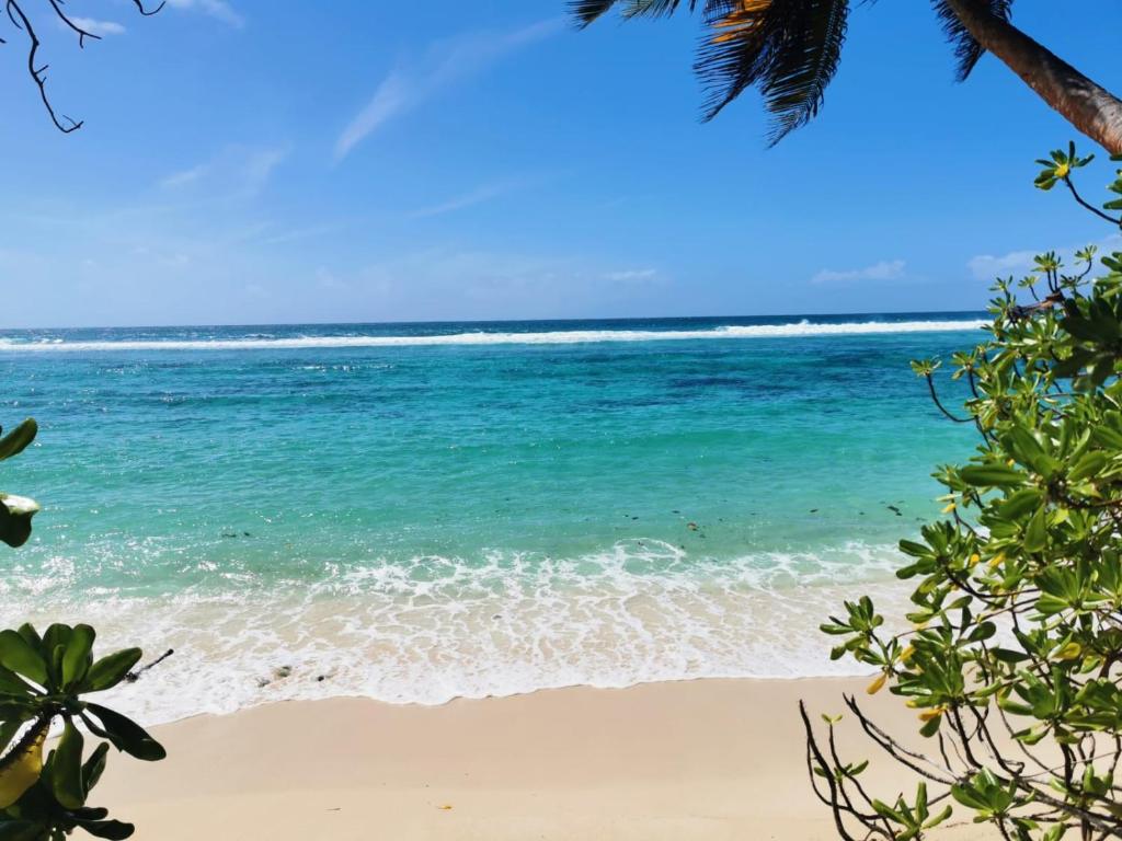 - Vistas al océano desde la playa en Chalets d'Anse Forbans SelfCatering, en Takamaka