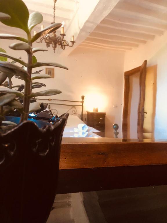 Kép MEA CASA Toscana szállásáról Castellina in Chiantiban a galériában