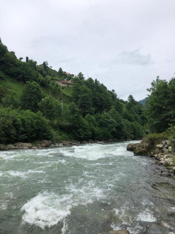 a river with rapids on a hill with trees at Afara Bungalows Otel & Cafe in Rize