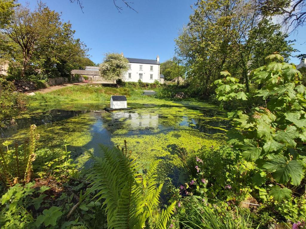 a pond with a bench in the middle of a garden at Hen Ffermdy in Jordanston