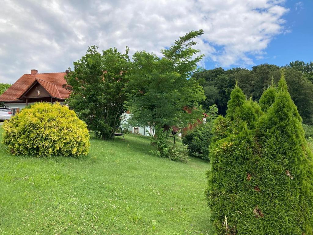Zahrada ubytování Herzhof Lampert