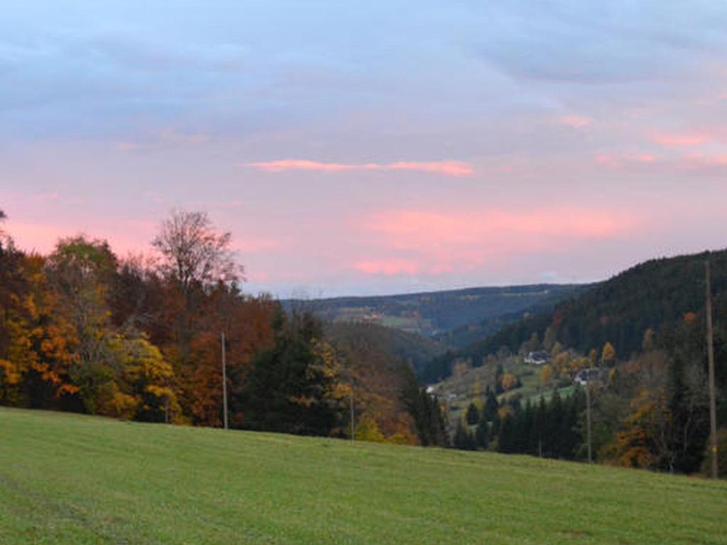 een grasheuvel met uitzicht op een bos bij Unterfalkenhof in Schramberg