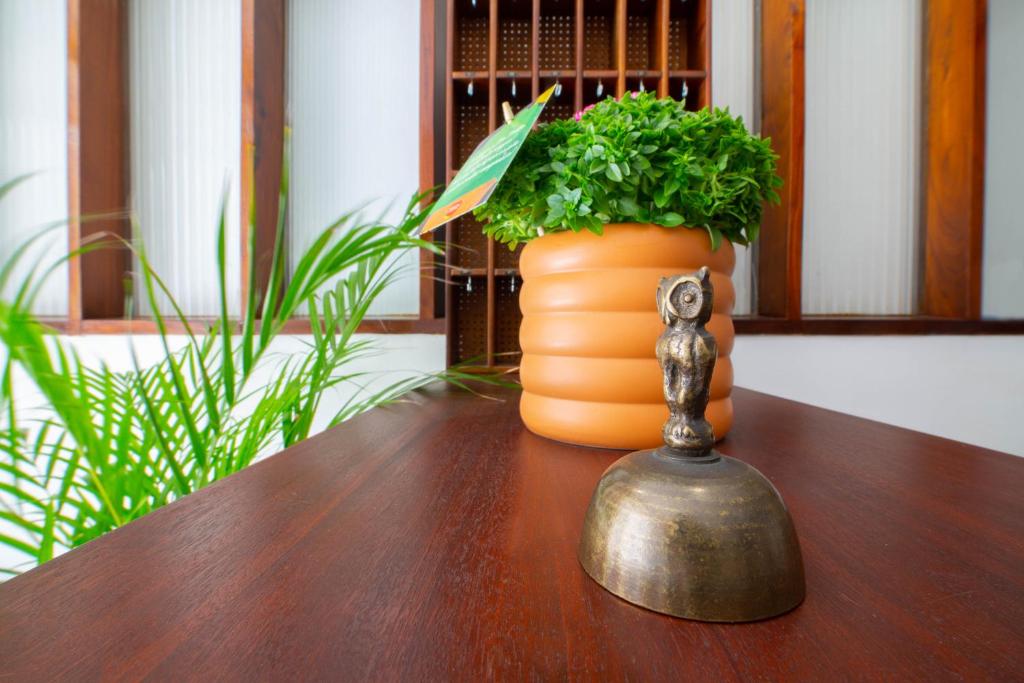 Hotel Terra Linda - Resim 13