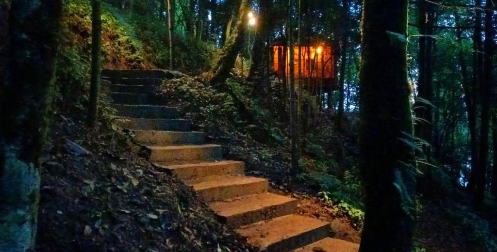 Zahrada ubytování Orion Retreat