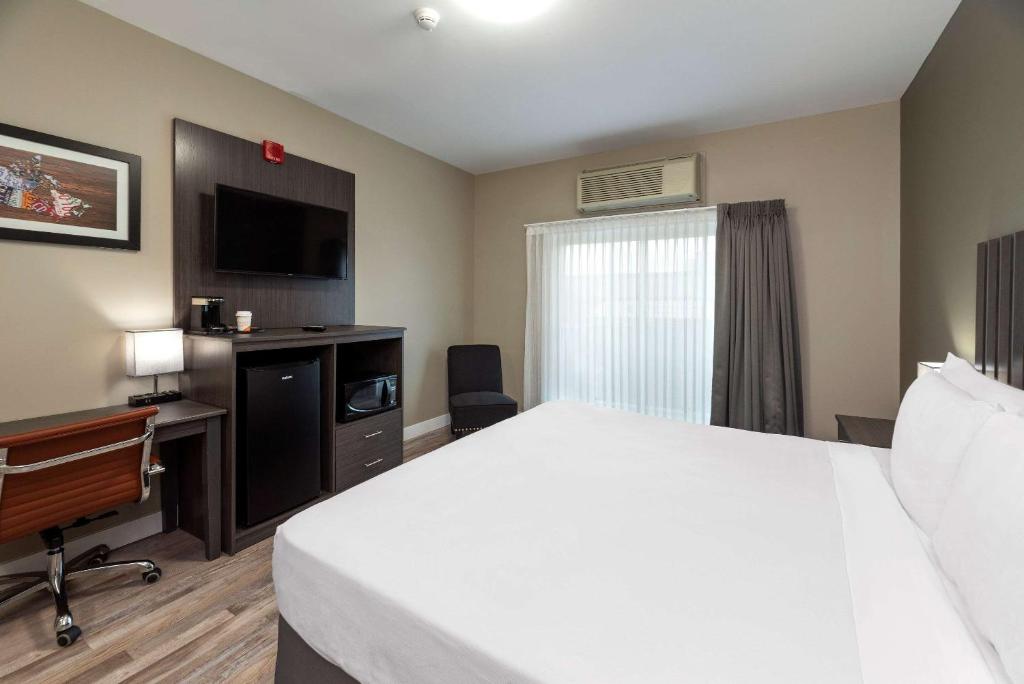 Econo Lodge - Room King - Non-fumeur