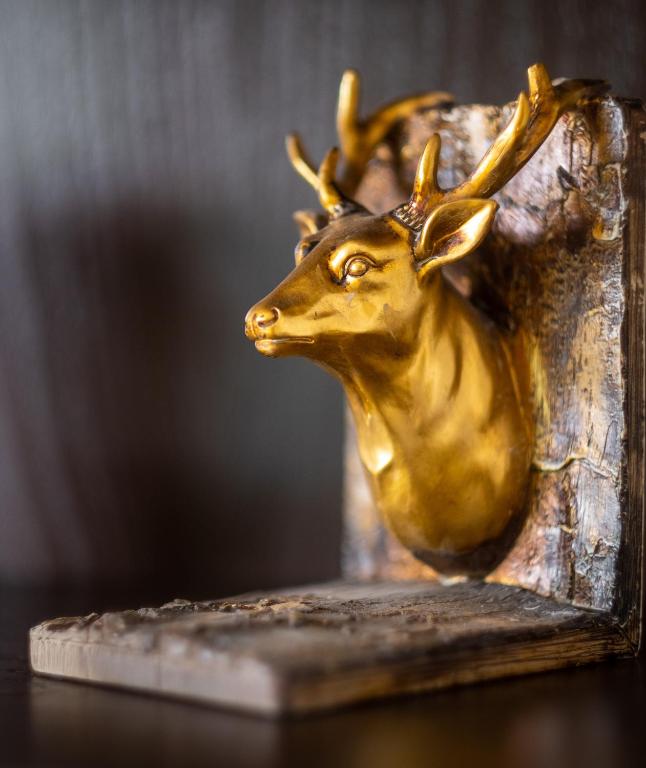 Abieshomes Serviced Apartments Schönbrunn - 12