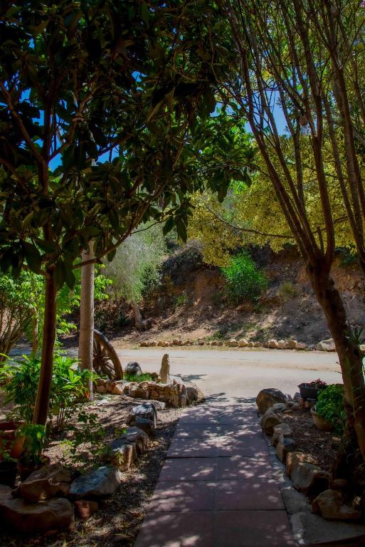 a path through a park with trees and a road at Hotel L'Oleandro in Villasimius