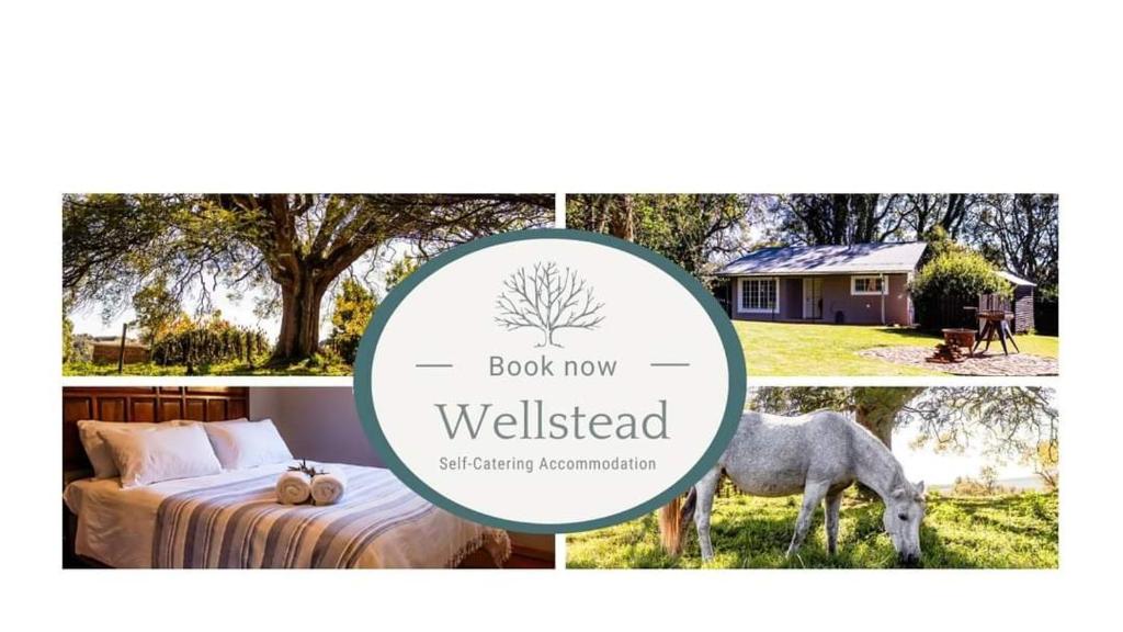 un collage de fotos de una cama y un caballo en Wellstead Country Manor, en Haenertsburg