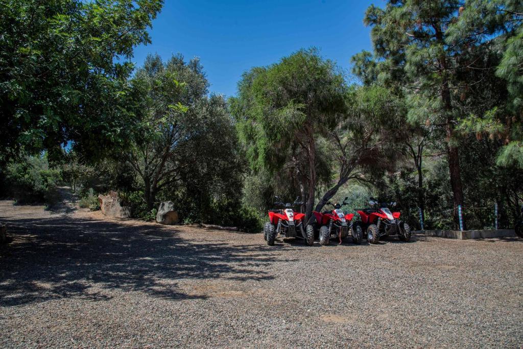 a row of motorcycles parked in a parking lot at Hotel L'Oleandro in Villasimius