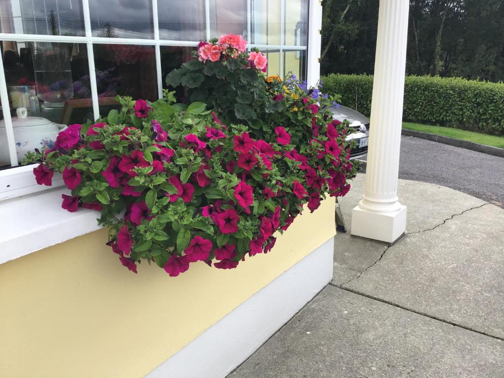 a window box with pink and purple flowers in it at Oakfield in Kenmare