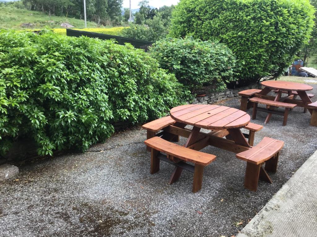 three picnic tables and benches sitting next to some bushes at Oakfield in Kenmare