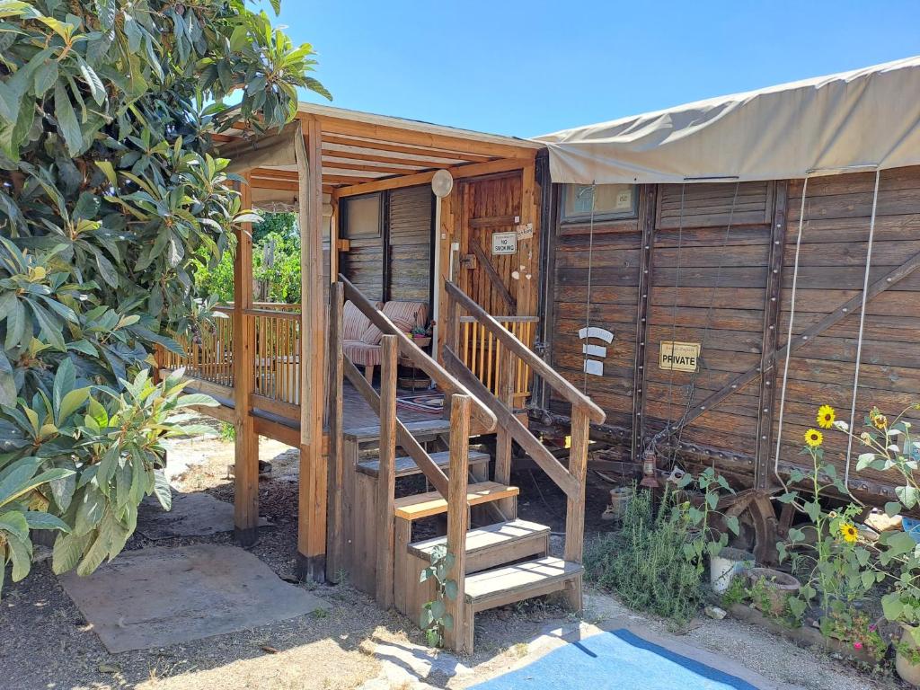 Cabaña de madera con una escalera que conduce a ella en Galilee Bedouin Camplodge en Tabash