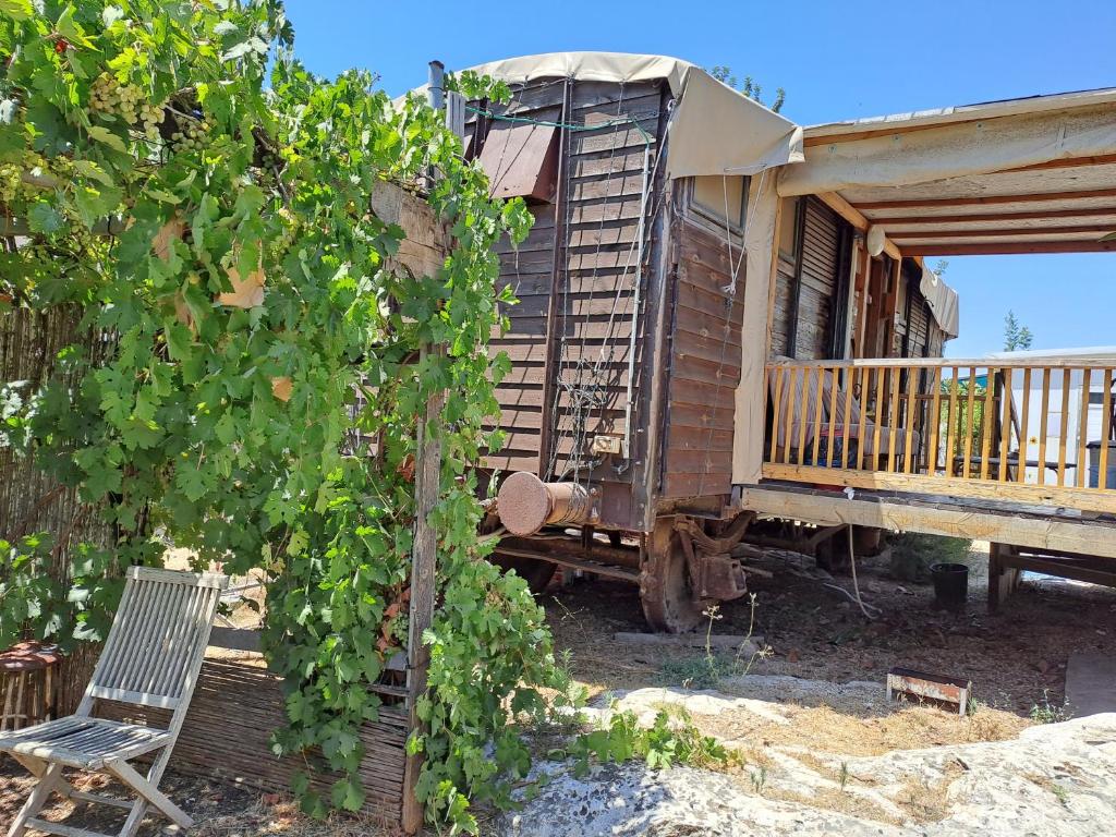 Balkón nebo terasa v ubytování Galilee Bedouin Camplodge