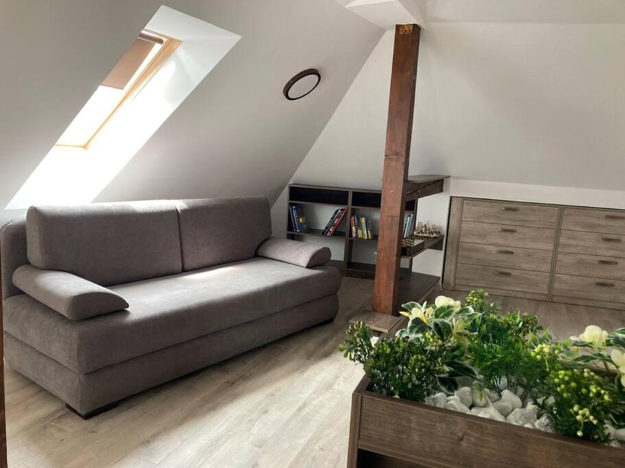 a living room with a couch in a attic at Samadhi Aparthotel in Miercurea-Ciuc