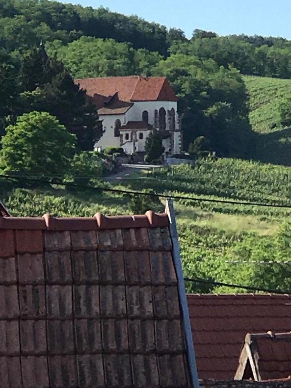 Przyroda w pobliżu tego domu wakacyjnego